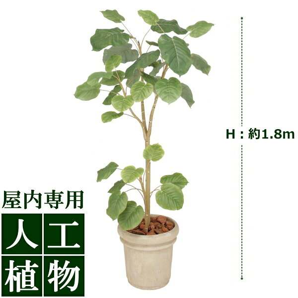 /人工植物/グリーンデコ　ウンベラータ　1.8m/送料無料/RCP/05P03Sep16/【HLS_DU】