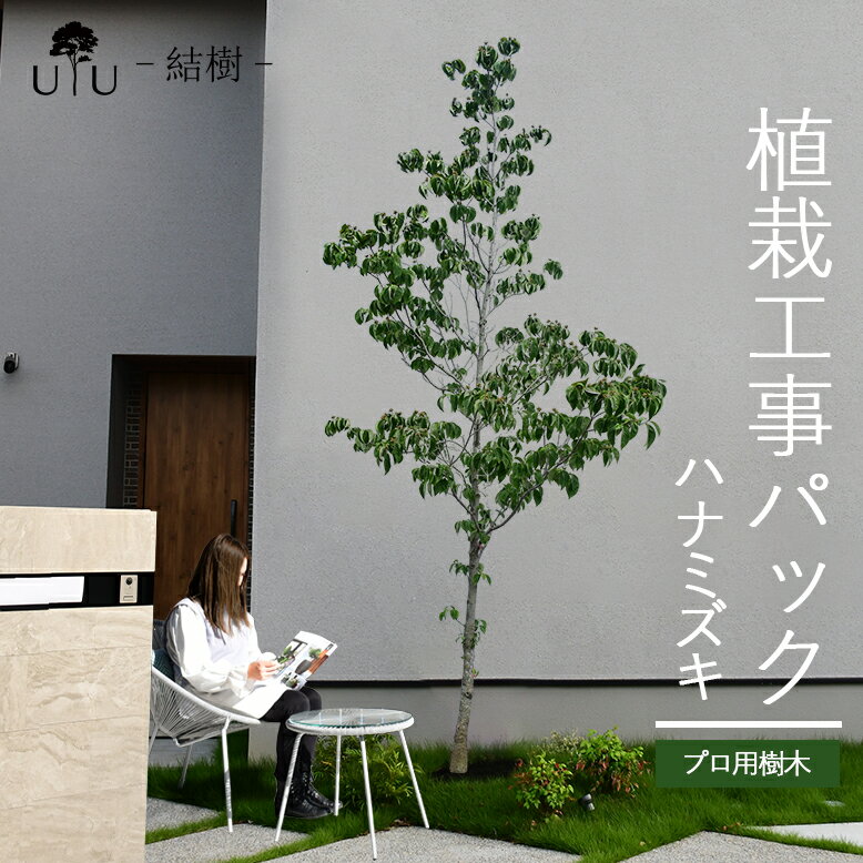 【施工付植木/近畿地域限定】 シンボルツリー 庭木 植木 大型 苗木 屋外 落葉広葉樹 高木 植物 グリーン 樹高2.5m以上(根含まず) 施工付き 植樹付き 庭 UJU 結樹 （ゆうじゅ） ハナミズキ【代金引換・同梱不可】hnw1 j-1 j-02 j-04