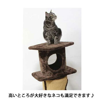 PAW-PAW キャットタワー/ペット用品/ペットタワー/B-1/RCP/05P03Sep16/【HLS_DU】