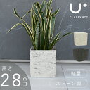 Aؔ y   Op p 9 28~28cm Xg[ p^ XNGA ubN zCg classy pot NbV[|bg i` L[u 28cm