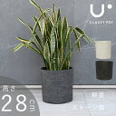 Aؔ ^ y 11   ~ Β ubN zCg classypot NbV[|bg i` V_[ 28cm