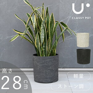 先行予約9月中旬入荷予定 植木鉢 大型 軽量 11号 おしゃれ 合成樹脂 円筒 石調 ブラック ホワイト classypot クラッシーポット ナチュラル シリンダー 高さ28cm