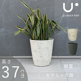 ȭ 緿ȭ  11  ȭ ȭС ȡ ֥å ۥ磻   ݷ classy pot åݥå ƥ 饦 ⤵37cm