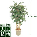/人工植物/グリーンデコ ベンジャミン 立木 5本立 1.8m/送料無料