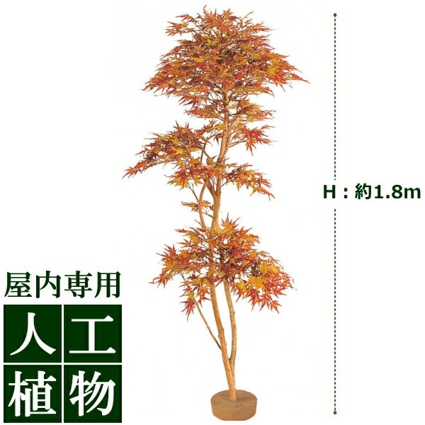 /人工植物/グリーンデコ　紅葉もみじ　鉢無　1.8m/送料無料