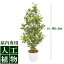 /人工植物/グリーンデコ アオキ 鉢付 1.5m/送料無料
