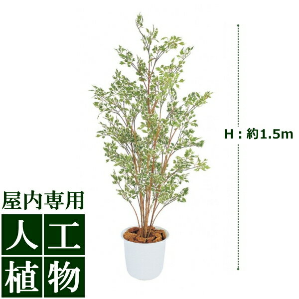 /人工植物/グリーンデコ　ベンジャミン　ハワイアン鉢付　1.5m/送料無料