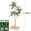 /人工植物/グリーンデコ ナナカマド板付 90cm/送料無料/RCP/05P03Dec16/【HLS_DU】