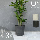 先行予約9月中旬入荷予定 植木鉢 大型 軽量 14号 おしゃれ 合成樹脂 円筒 石調 ブラック ホワイト classypot クラッシーポット ナチュラル シリ...
