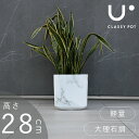 Aؔ ^Aؔ  9 y   p CeA 嗝Β Jo[ zCg lp XNGA classy pot NbV[|bg }[u L[u 28cm