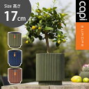 植木鉢 小型植木鉢 Capi インテリア 軽量 樹脂製 鉢 室内用 グランピング レストラン 植栽 プレゼント ギフト ガーデン おしゃれ カピ グリーン メル...