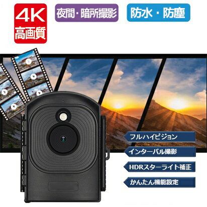 ȥ鲰磻쥹WiFiȥ쥤륫饽顼ѥͥդȳǹ4KɿɿIP66б2160p1080pбԲĻֳLEDƻ륫ưθοʹ󥵡бӼưϿ