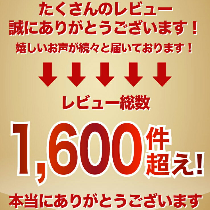 リモコン紛失お任せ下さい！ 国内メーカー対応 エアコンリモコン 各社対応 各社共通 1000機種対応 汎用 Panasonic ダイキン 日立 LG 三菱 パナソニック ナショナル SANYO NEC SHARP 東芝 コロナ 霧ヶ峰 ハイアール 富士通 純正 送料無料 メール便