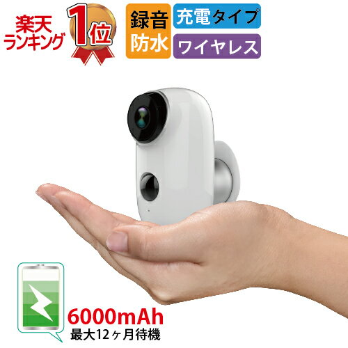 【期間限定 3000円オフ】【楽天1位】防犯カメラ ワイヤレス 屋外 小型 赤外線 動体検知 電池式 microSDカード録画 センサーカメラ 監視カメラ 暗視カメラ 人体感知 人感センサー 駐車場 車上荒らし 赤外線カメラ 防止 屋内 DVR-Q3