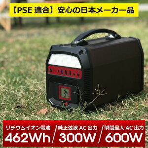 ポータブル電源 462Wh 大容量 蓄電池 台風 大雨 【2020最新】 ポータブルバッテリー 124800mAh 純正弦波 アウトドア 車中泊 キャンプ 防災 災害 停電対策 600W ポタデン 車載