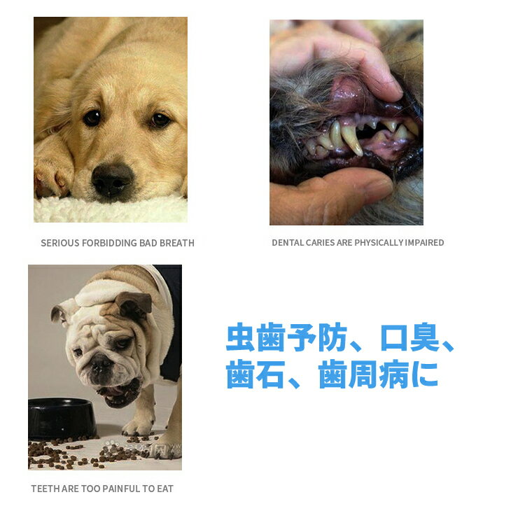 犬 歯ブラシ 歯磨き ハブラシ シリコン 犬用 歯ブラシ ペット ペットグッズ 犬用品 犬 お手入れ・グルーミング用品 歯のケア 歯ブラシ