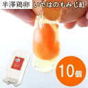 いではのもみじ紅 10個パック入り 新鮮 新鮮卵 生卵 卵かけご飯 たまご 赤玉 高級 濃厚 鶏卵 栄養 ギフト プレゼント 玉子 抗酸化作用 アスタキサンチン...