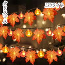 【クーポンあり】LEDライト クリスマス イルミネーション 3M/6Mカーテンライト イルミネーションライト ストリングライト フェアリーライト 装飾ライト クリスマス飾り イルミネーション カーテンライト イルミネーションライト ストリングライト フェアリーライト