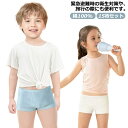 コットン100% 綿100% 女の子 15枚セット!子供用 キッズ 旅行 使い捨て下着 使い捨てショーツ 男の子 使い捨て 携帯 地震 使い捨てパンツ 大きいサ...