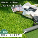 人工芝 ロール 1m×5m 芝丈20mm ピン12本つき 2色立体感 透水穴つき リアル ふかふか 高品質 高密度 色落ちにくい 抜けにくい 復元性 立体感 秋...