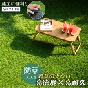 人工芝 ロール 2m×10m 芝丈20mm ピン42本つき 2色立体感 透水穴つき リアル ふかふか 高品質 高密度 色落ちにくい 抜けにくい 復元性 立体感 青緑