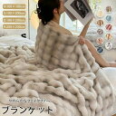 毛布 ふわとろ毛布 もこもこ毛布 ブランケット とろとろ ふわふわ シングル ダブル ハーフ ふわもこ 掛け毛布 膝掛け ラグジュアリー モコモコ もうふ おしゃれ やわらか 暖かい 厚手 吸湿発熱 高級感 洗える インテリア 秋 冬 寝具