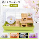 ハムスター ケージ 8点セット 2階建て飼育ケージ 大きめ 小動物 ケージ ゴールデン ハウス 食器 給水ボトル まわし車 食器 回し車 自動給水器 バスルーム...
