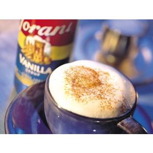 コーヒー用品と生活雑貨のハピマルのトラーニ フレーバーシロップ チャイティースパイス 750ml｜アングル3