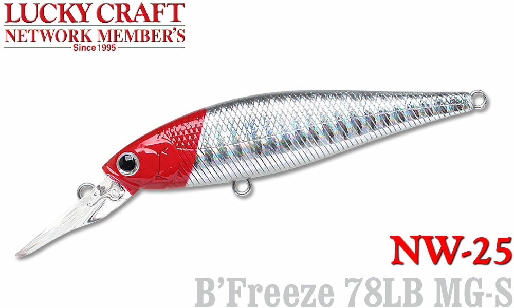 LUCKY CRAFT【ラッキークラフト】NW-Amigo 25 ビーフリーズ78LB MG-S