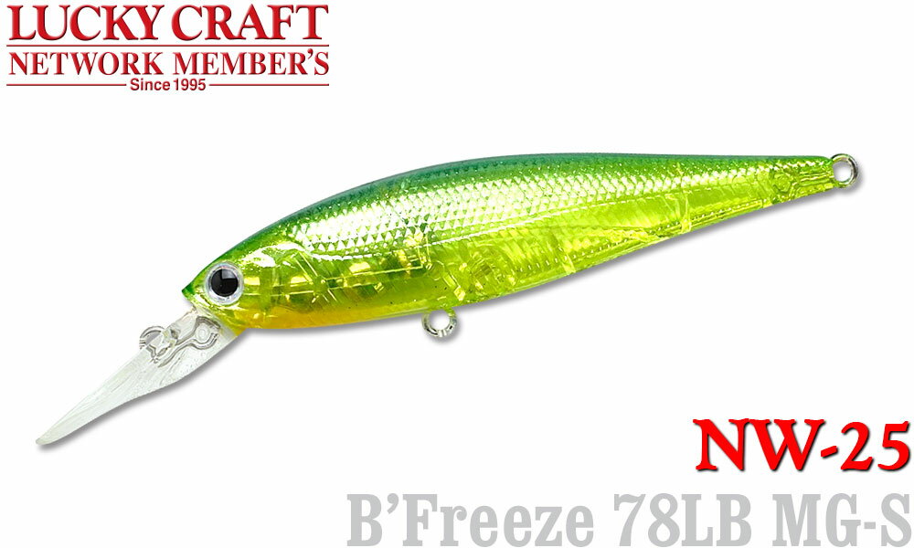 LUCKY CRAFT【ラッキークラフト】NW-Amigo 25 ビーフリーズ78LB MG-S