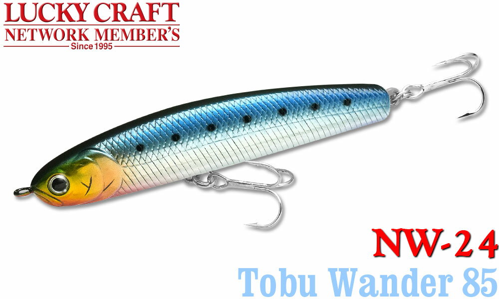 LUCKY CRAFT【ラッキークラフト】NW-Amigo 24 飛ぶワンダー85