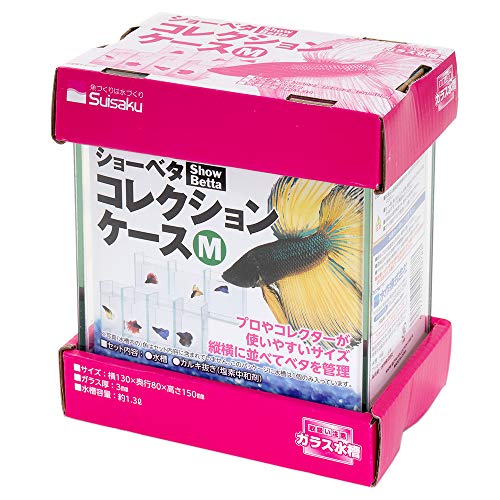 小型・ M ・本体サイズ (幅X奥行X高さ) :8×16×15cm・本体重量:0.46kg説明 ベタのコレクションに最適な小型水槽です。カルキ抜きも付属しております。縦にも、横にも並べて美しく、ベタの数だけ集めたくなります。