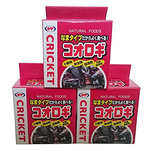 NPF コオロギ40g （コオロギ缶）×3個セット