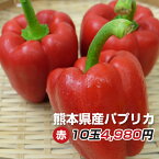 【私だけの贅沢お野菜！】美容食材で大注目！《熊本産火の国パプリカ赤》【私達が愛情と優しさで育てた可愛いパプリカ】【M/Lサイズ混み20玉】“古閑自然農法”熊本から笑顔の食卓へ！【送料無料】甘～い肉厚ジューシ−！“美容にも注目の野菜”九州/野菜/熊本/新鮮/安全/