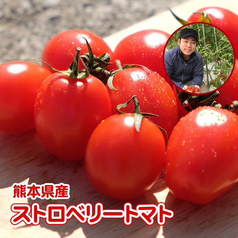 【私だけのプチ贅沢】畑のお星さま!《尾上さんの愛情で育てた可愛いストロベリートマト》熊本から笑顔の食卓へ! 2kg+おまけ付♪“苺のような傑作ミニトマト”【〈注〉送料がかかります】【送料無料対象外】【送料別】九州/野菜/熊本/新鮮/安全