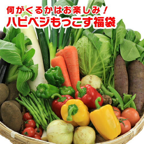 野菜セット 送料無料 気まぐれ野菜