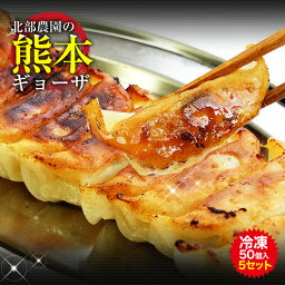 生産者がこだわりを込めた【火の国くまもと餃子】冷凍250個入り（50個×5箱）≪農林水産大臣賞≫熊本から笑顔の食卓へ！（熊本名物）天草梅肉ポークと有機栽培熊本県産の野菜でつくった、たれ無しでも凄くおいしい北部農園の熊本餃子！【送料がかかります】