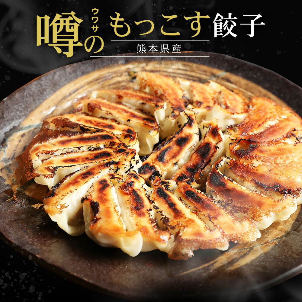餃子作り一筋！《火の国熊本噂のもっこす餃子》餃子職人が具材にこだわり時間をかけて考えぬいたたれ無し餃子！熊本から笑顔の食卓へ！九州産の厳選食材を使った！味付け餃子50個入り！リピーター続出！【送料がかかります】（熊本名物）のサムネイル