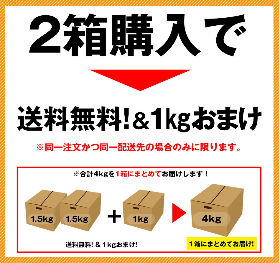 【予約受付開始】庄村さんの愛情で育った最高傑作みかん！《まごみかん》柑橘栽培一筋！元気と味に自信！昔懐かしの味．★10月上旬より順次発送 ★極早生【2箱購入で送料無料+1kgおまけ！ 3箱購入で+3kgおまけ♪】《注》1箱購入の場合送料が発生します【訳あり】大中小混合