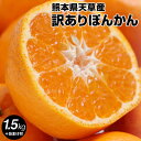 熊本県 天草産 訳ありポンカン1.5kg★【2箱から送料無...