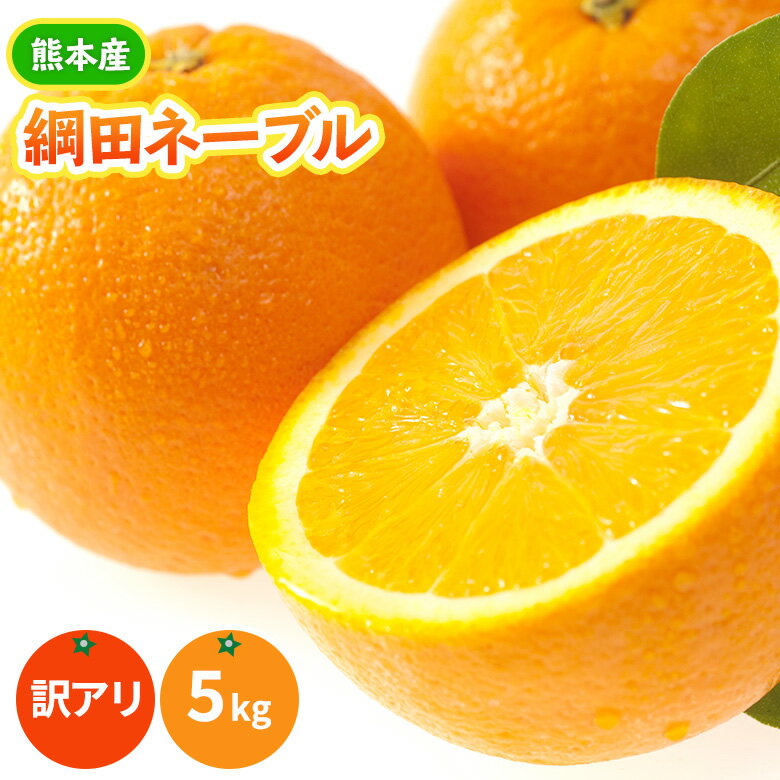 予約販売開始・最高傑作！《柑橘の女王》村田さんの愛情と元気で育てた網田ネーブルオレンジ（熊本歴史の特産 網田熟ネーブル大・中・小混合）5kg 訳あり【送料無料】（蔵出し熟ネーブル）熊本から笑顔の食卓へ！《2月末から順次発送予定》甘くて果汁たっぷりうまかばい！のサムネイル