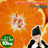 果物 みかん まご熟みかん