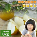 梨/新高/送料無料≪熊本県産 尾上さんちの新高なし 3kg(...