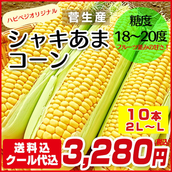 【ご予約販売】私だけのプチ贅沢！【シャキあまコ−ン】とうもろこし10本（2L〜Lサイズ）　大分県産　　糖度約18〜20度　フルーツ並みの甘さ　生でも加熱でもお楽しみください。 リピーター続出コ−ン《7月上旬より順次発送予定》ク−ル便