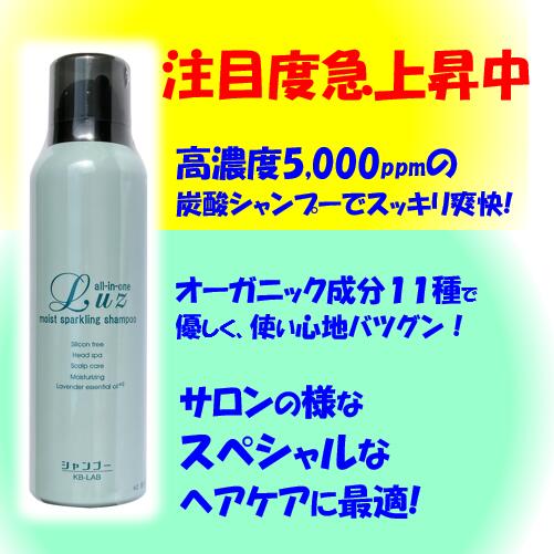 �롼�� ���ѡ������ �����ס� 150g ú�������ס� ���ߥλ� �Υ󥷥ꥳ�� ���뤪��ȱ�� ��٥�����ι�� Ƭ������ �إåɥ��� ��������� �إ����� ������ץ���