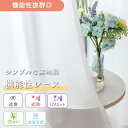【新商品】《 抗カビ 機能付き!シンプルで合わせやすい機能レース》1枚入り 1cm単位 オーダー レースカーテン 梅雨 冬 結露 カビ 予防 遮像 透けにくい ...