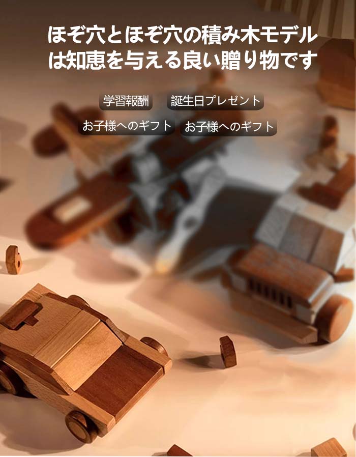 木製 レーシングモデル 組み立てキット 11ピース ほぞ穴接合 榫卯構造 DIY 知育玩...