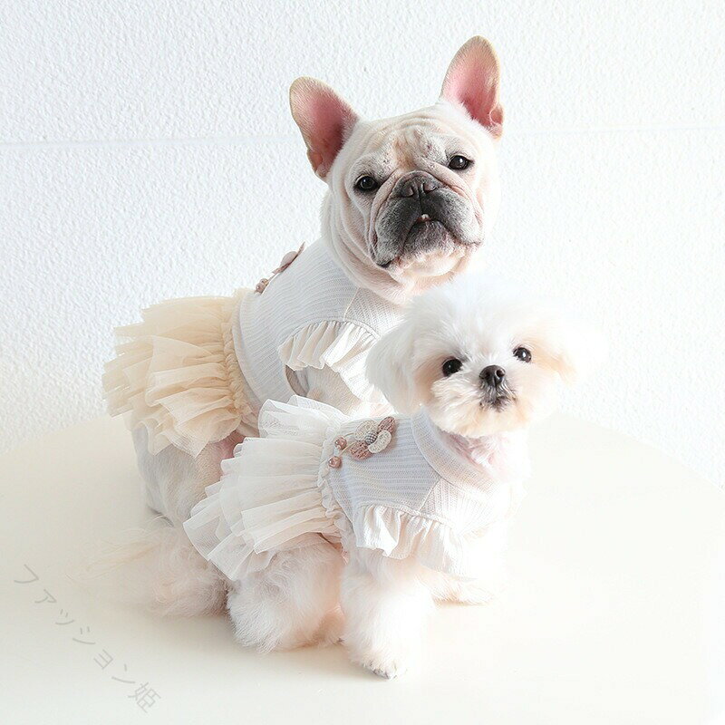 ハロウィン かぼちゃ ペット用品 ペットウェア ペット服 オレンジ リボン 犬 猫 飾り サロン トリマー オススメ パンプキン 帽子 ケープ フリース あったかい 柔らかい 人気 ダックス プードル かわいい 犬の服 秋 冬 プレゼント インスタ パーティ チョーカー SSサイズ 業務用 可愛い コスプレ ウィッグ付き マント ロリータ 貴族 小型犬 ワンピース 洋服 魔法使い パーティー 女の子 男の子 変身 スパイダー ドッグウェア 夏 送料無料 涼しい 王様 王子様 S M L XL 3点セット カッコイイ おもしろい 仮装 衣装 犬猫 中型犬 大型犬 魔女 変身 おもしろグッズ クリスマス イベント 写真撮影 つなぎ コウモリ パーカー アウター コート XS～XLサイズ ドッグ服 猫服 変身 耳付き 着ぐるみ 撮影 チュールワンピ お化け 猫用 超絶キュン 首輪 ネクタイ バンダナ ガーランド 誕生日 しつけ首輪 痛くない 猫の首輪 着せ替え 襟かざり 首かざり かぶり物 サンタ デニム 服 デニムスカート 小型犬 中型犬 大型犬 Tシャツ フード付き パーカー 裏起毛 オールシーズン ギフト ハンガー 春 夏 秋 冬 定番 おしゃれ 可愛い 柴犬 お洋服 ペットグッズ かわいい お散歩 お出かけ 室内 防風 保温 お揃い 洗える 暖かい ペットベッド ペットソファ クッション マット 滑り止め もこもこ ふかふか 通気性抜群 寝心地いい 破れにくい 四季通用 軽量 脱着簡単 丈夫 安全【原産国／製造国: 中国】指定された配送時間は承っておりません。【ファッション姫】ハロウィン かぼちゃ ペット用品 ペットウェア ペット服 オレンジ リボン 犬 猫 飾り サロン トリマー オススメ パンプキン 帽子 ケープ フリース あったかい 柔らかい 人気 ダックス プードル かわいい 犬の服 秋 冬 プレゼント インスタ パーティ チョーカー SSサイズ 業務用 可愛い コスプレ ウィッグ付き マント ロリータ 貴族 小型犬 ワンピース 洋服 魔法使い パーティー 女の子 男の子 変身 スパイダー ドッグウェア 夏 送料無料 涼しい 王様 王子様 S M L XL 3点セット カッコイイ おもしろい 仮装 衣装 犬猫 中型犬 大型犬 魔女 変身 おもしろグッズ クリスマス イベント 写真撮影 つなぎ コウモリ パーカー アウター コート XS～XLサイズ ドッグ服 猫服 変身 耳付き 着ぐるみ 撮影 チュールワンピ お化け 猫用 超絶キュン 首輪 ネクタイ バンダナ ガーランド 誕生日 しつけ首輪 痛くない 猫の首輪 着せ替え 襟かざり 首かざり かぶり物 サンタ デニム 服 デニムスカート 小型犬 中型犬 大型犬 Tシャツ フード付き パーカー 裏起毛 オールシーズン ギフト ハンガー 春 夏 秋 冬 定番 おしゃれ 可愛い 柴犬 お洋服 ペットグッズ かわいい お散歩 お出かけ 室内 防風 保温 お揃い 洗える 暖かい ペットベッド ペットソファ クッション マット 滑り止め もこもこ ふかふか 通気性抜群 寝心地いい 破れにくい 四季通用 軽量 脱着簡単 丈夫 安全【原産国／製造国: 中国】指定された配送時間は承っておりません。【ファッション姫】