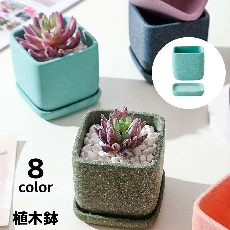 スクエア型のシンプルな植木鉢です。多肉植物や観葉植物に◎【サイズについて】画像をご参照ください。【カラーについて】生産ロットにより柄の出方や色の濃淡が異なる場合がございます。お使いのモニターや撮影時の光の加減などにより画像と実際の商品のカラーが異なる場合もございます。予告なしにカラーやデザインなどの変更がある場合もございます。スクエア型のシンプルな植木鉢です。多肉植物や観葉植物に◎【サイズについて】画像をご参照ください。【カラーについて】生産ロットにより柄の出方や色の濃淡が異なる場合がございます。お使いのモニターや撮影時の光の加減などにより画像と実際の商品のカラーが異なる場合もございます。予告なしにカラーやデザインなどの変更がある場合もございます。