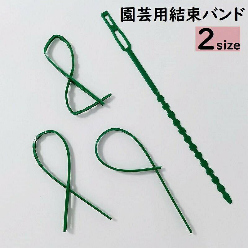 垣根・支柱の固定等に便利な園芸用結束バンドです。植物のサポート、結束、固定に◎長さ調整も簡単♪【サイズについて】画像をご参照ください。【カラーについて】生産ロットにより柄の出方や色の濃淡が異なる場合がございます。お使いのモニターや撮影時の光の加減などにより画像と実際の商品のカラーが異なる場合もございます。予告なしにカラーやデザインなどの変更がある場合もございます。【素材について】プラスチック垣根・支柱の固定等に便利な園芸用結束バンドです。植物のサポート、結束、固定に◎長さ調整も簡単♪【サイズについて】画像をご参照ください。【カラーについて】生産ロットにより柄の出方や色の濃淡が異なる場合がございます。お使いのモニターや撮影時の光の加減などにより画像と実際の商品のカラーが異なる場合もございます。予告なしにカラーやデザインなどの変更がある場合もございます。【素材について】プラスチック
